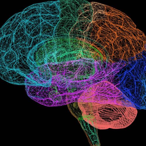 8 Ways to Train Your Brain Into Losing Weight Properly
